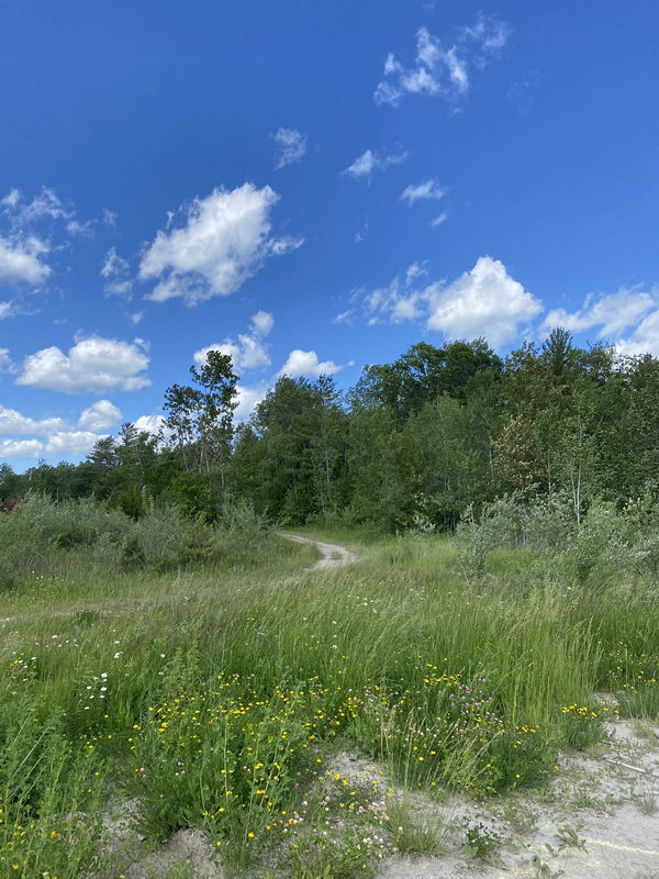 Tawas Drive-In Theatre - June 17 2022 Photo